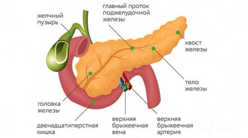 Санатории, где лечат панкреатит: типы и методы лечения | mfarma.ru