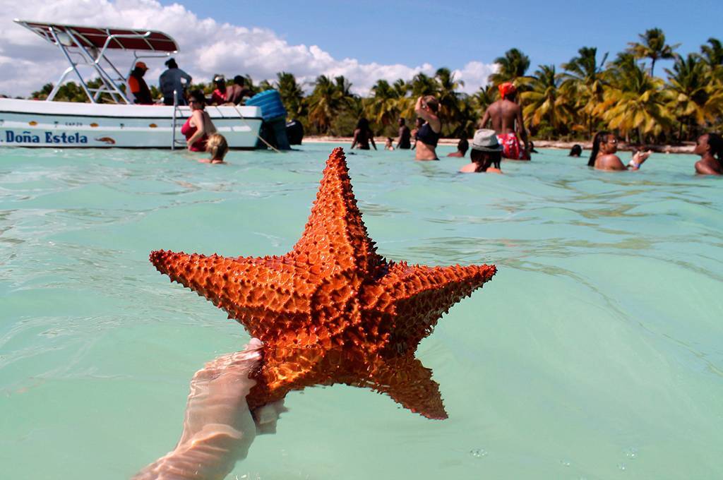 Празднование нового года 2022 в доминикане: где лучше отдыхать? какой выбрать отель и курорт? когда бронировать тур?