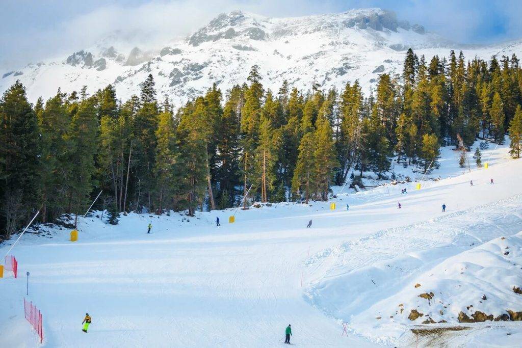 Где покататься на лыжах в спб — топ 6 крутых лыжных курортов
