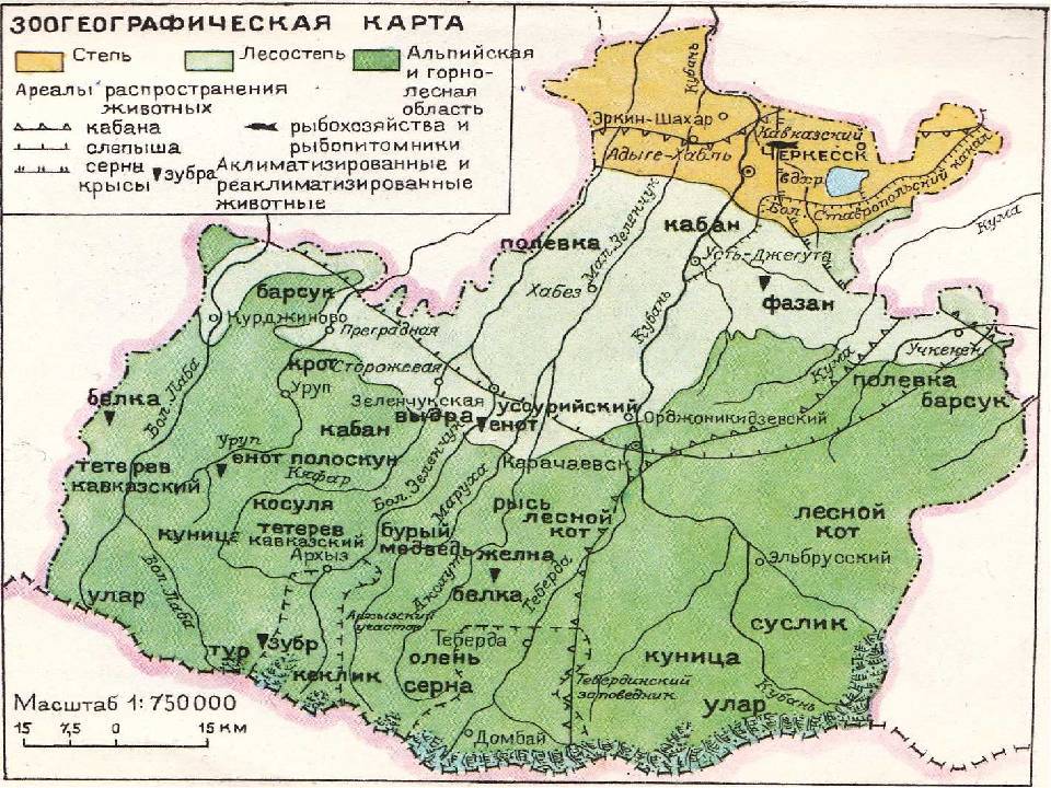 Карта карачаево-черкесии с курортами, отелями, достопримечательностями, транспортом