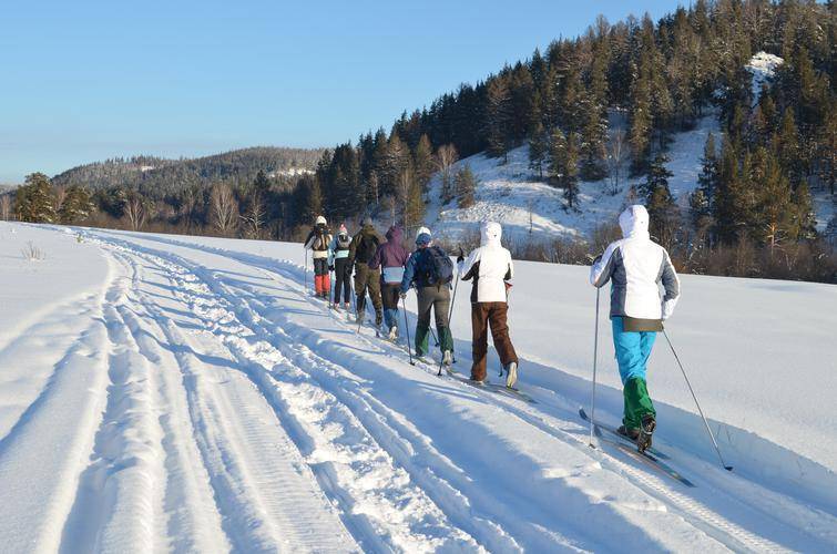 Топ-20 лыжных марафонов россии, в которых стоит принять участие