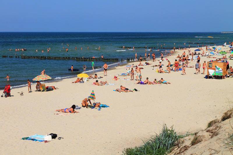 Лучшие курорты калининградской области: где летом отдохнуть на балтийском море детям и взрослым