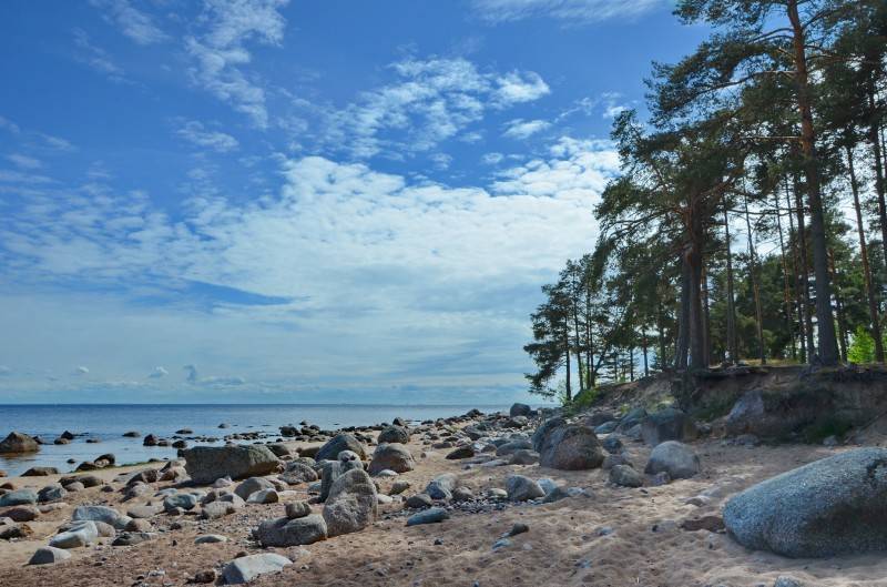 Оздоровительный отдых на финском заливе - сила севера