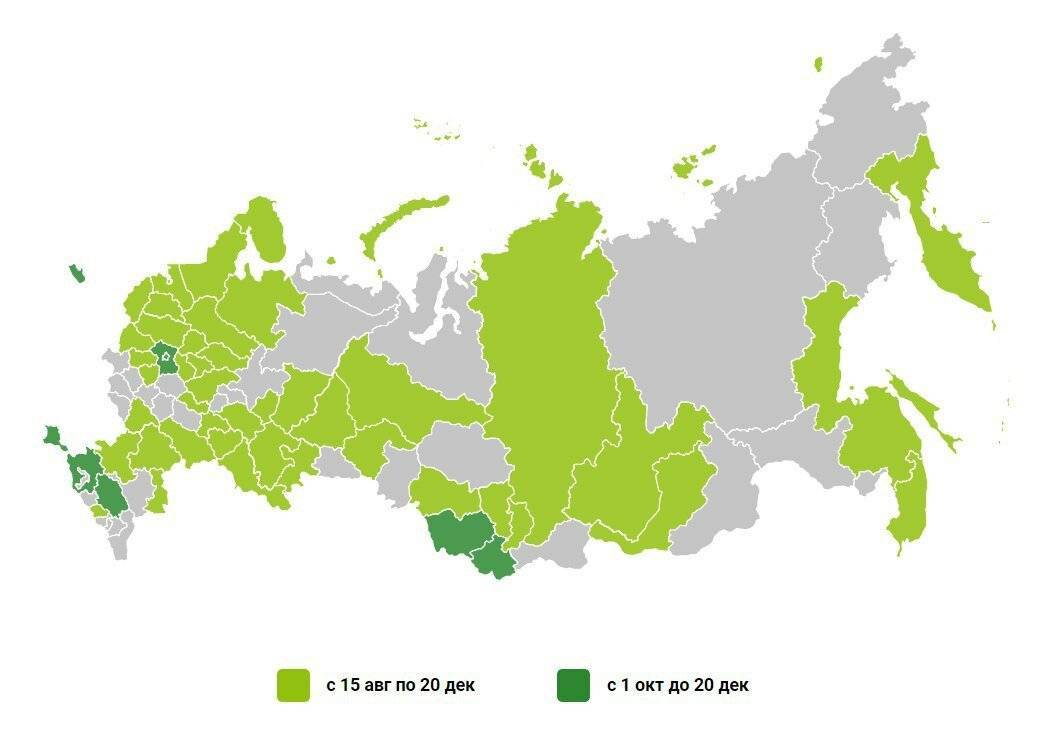 Отдых на юге россии 2022 — отдых на черном, азовском море, в крыму, отдых в горах кавказа и крыма