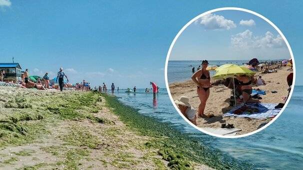 Температура воды в азовском море по месяцам: коса бердянска летом, зимой (сезон 2021)
