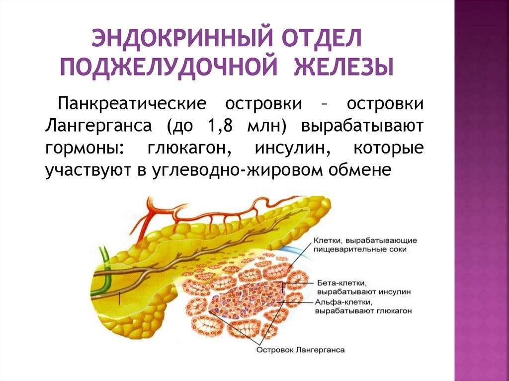 Санатории россии для лечения поджелудочной железы