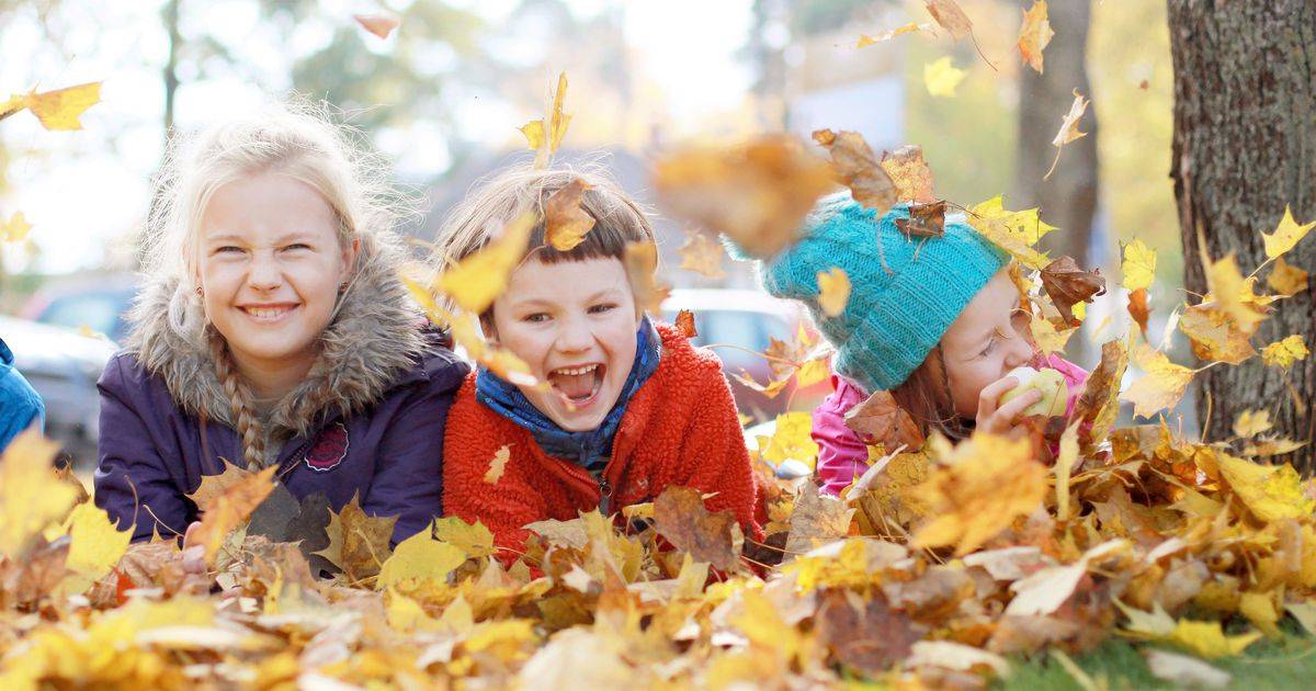 Осенние каникулы в россии: 8 идей для путешествий с детьми