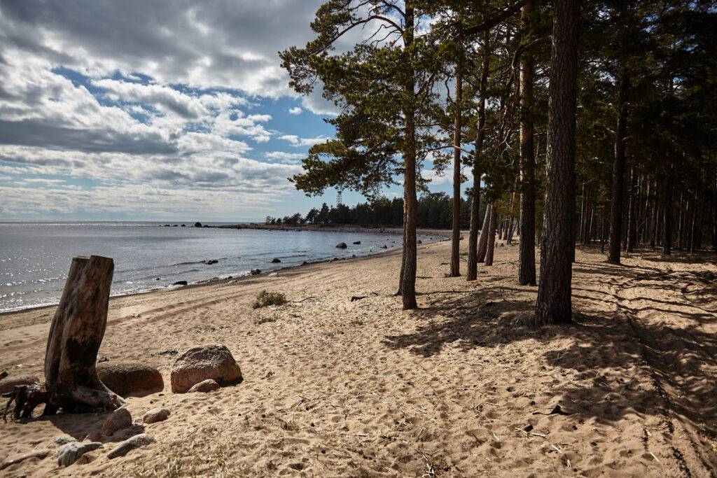 Лучшие пляжи санкт петербурга - где  купаться на финском заливе?