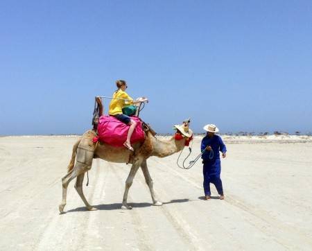 Коронавирус в тунисе – правила для туристов