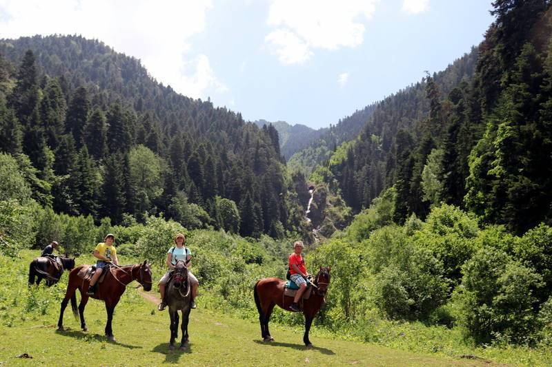 Лучшие базы отдыха на северном кавказе ⭐️ обзор баз, пансионатов, достопримечательностей, отзывы туристов