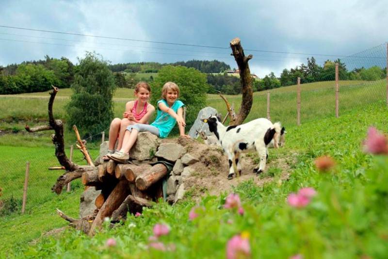 Экскурсии на фермах: какие шансы есть у агротуризма в россии