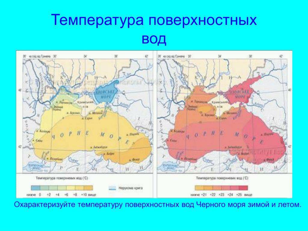 Температура морской воды в черноморском сегодня