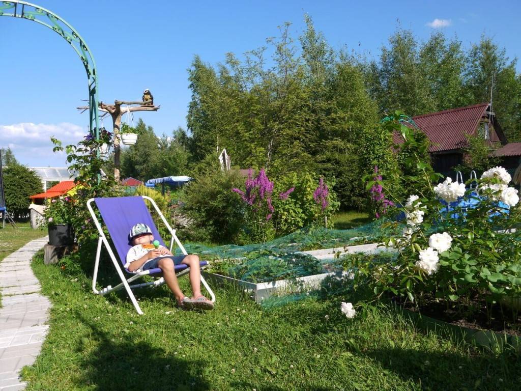 Лучшие дома отдыха россии с открытым бассейном в хвойном лесу - туристический блог ласус
