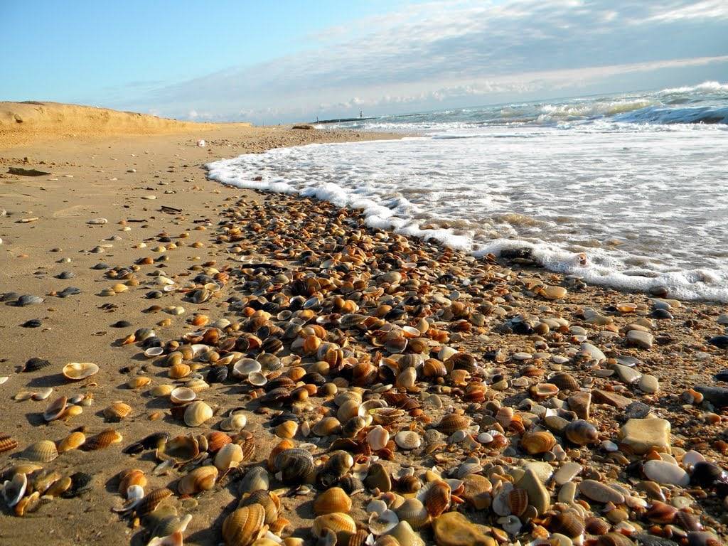 Пляжи астрахани 2021 — фото, где находятся, на карте, как добраться, отзывы, видео