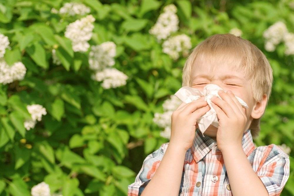 Сезонная аллергия – весна, омраченная слезами