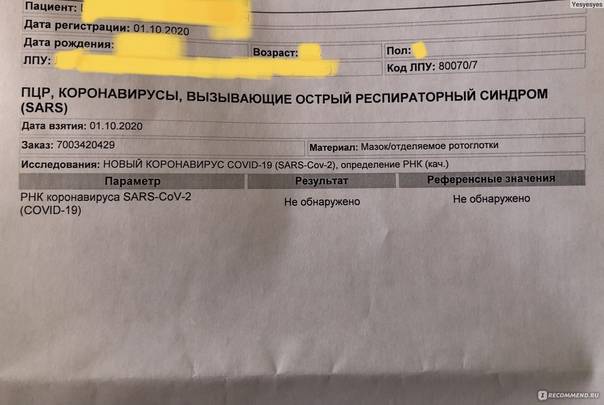Правила въезда в грузию сейчас из-за коронавируса для россиян: какие документы нужны коронавирус covid–19 |