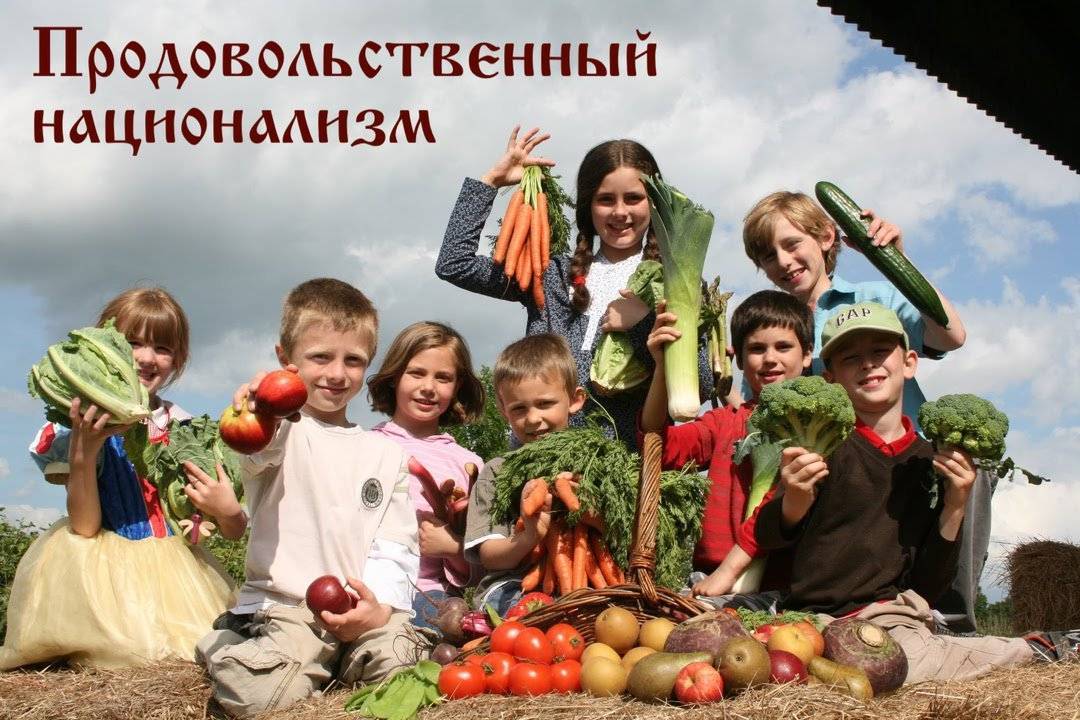Знакомства для вегетарианцев, веганов и сыроедов в россии